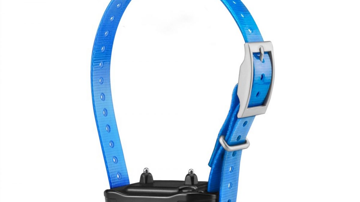 Garmin store pt10 collar