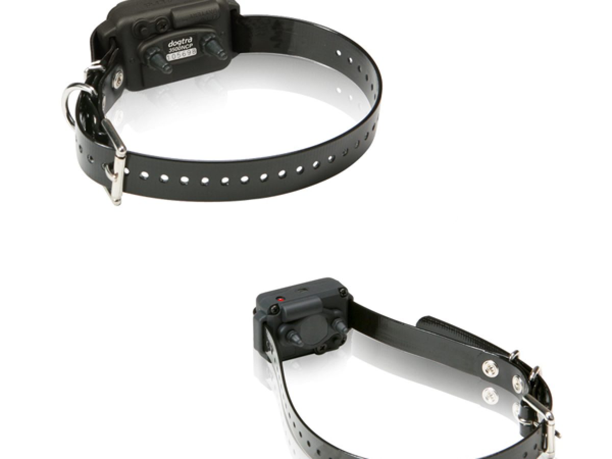 Dogtra 2025 dummy collar