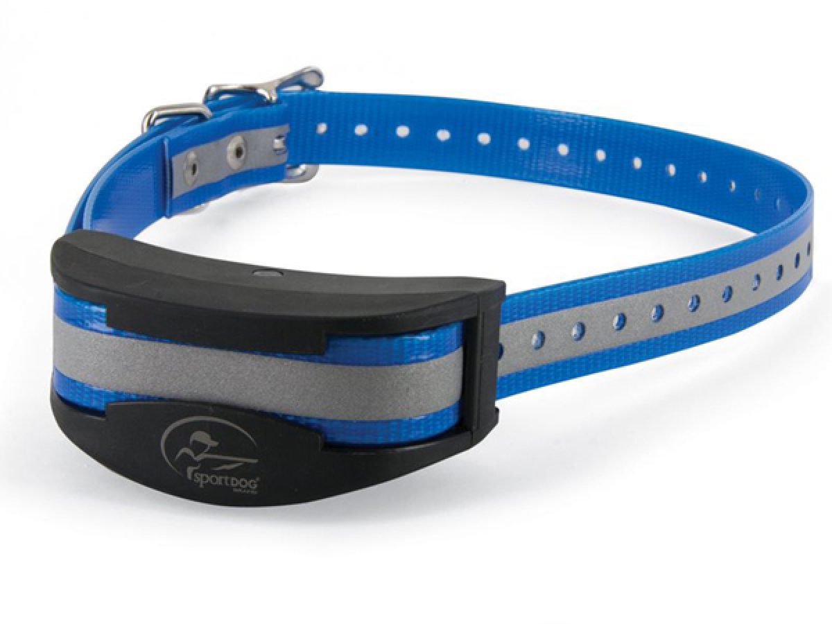 SportDOG Brand 3/4 Replacement Collar Strap