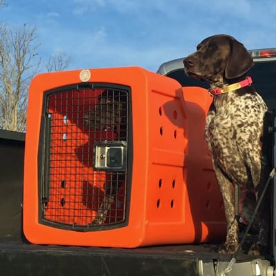 Crates and Accessories | Front Range Gun Dog