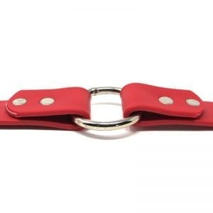 K-9 Komfort 1 Inch TufFlex Red Center Ring Collar