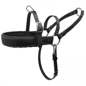 K-9 Komfort Padded TufFlex Roading Harness