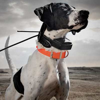 Hunting dog hotsell tracking systems