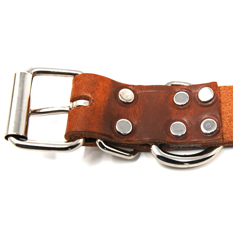 1 1/4 Inch Leather Collar - Free Catridge Brass Nameplate - Front Range ...