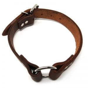 1 Inch Leather Center Ring Collar