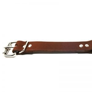 1 Inch Leather Center Ring Collar