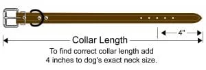 Bully Collar