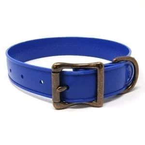 WigWag 1 inch Medium Dog Collar