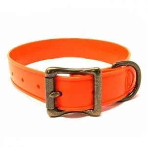 WigWag 1 inch Medium Dog Collar