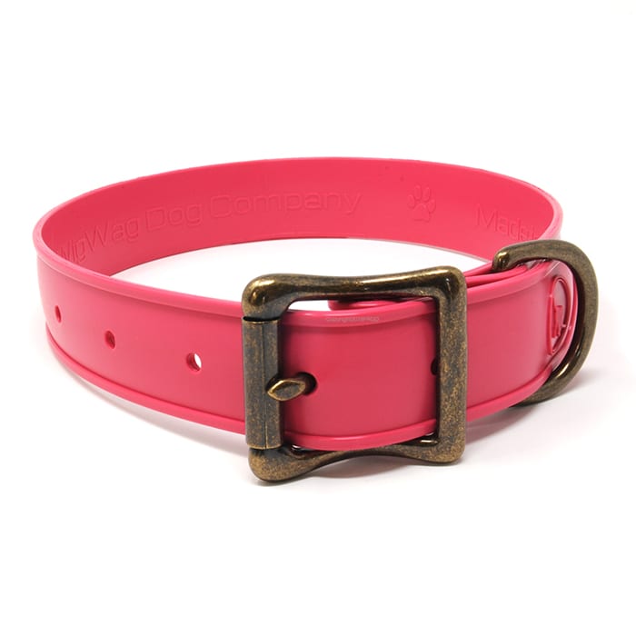 WigWag 1 inch Medium Dog Collar | Front Range Gun Dog