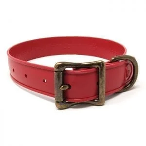 WigWag 1 inch Medium Dog Collar