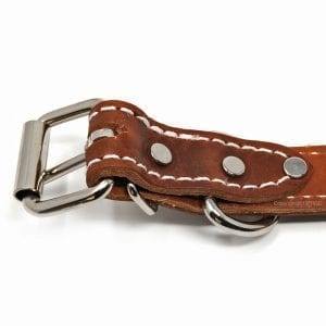 1 Inch 2 Ply Leather Collar