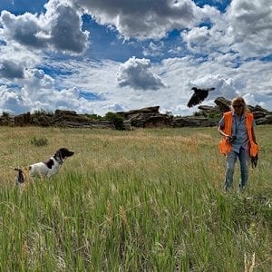 Bird Launcher Front Range Gun Dog