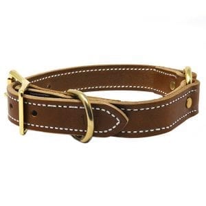 1 Inch Tan Leather Center Ring Collar