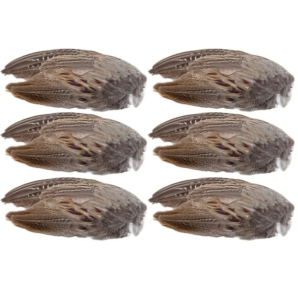 Pheasant Wings 6 Pack