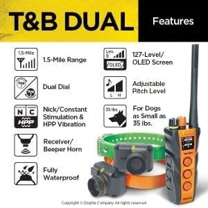 Dogtra T&B DUAL 2 Dog