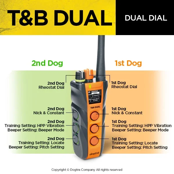 Dogtra T&B DUAL