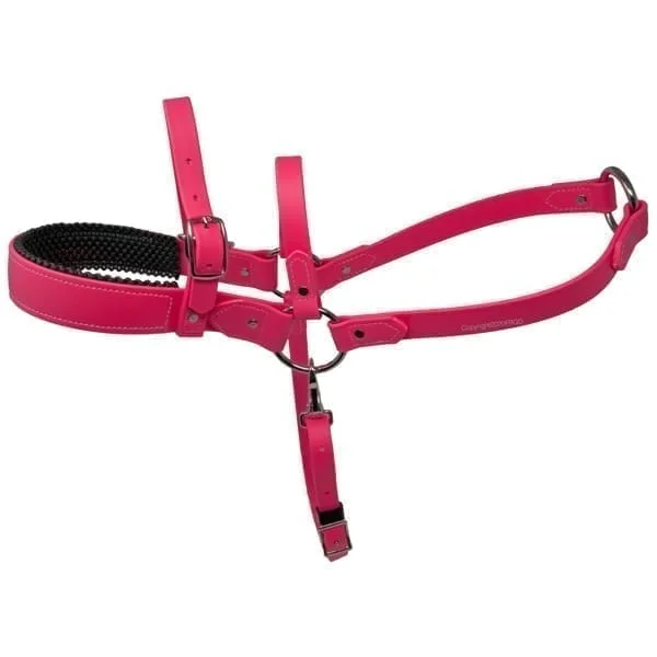 Dog hot sale roading harness