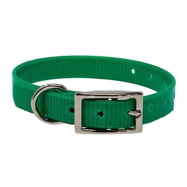 Green hotsell puppy collar