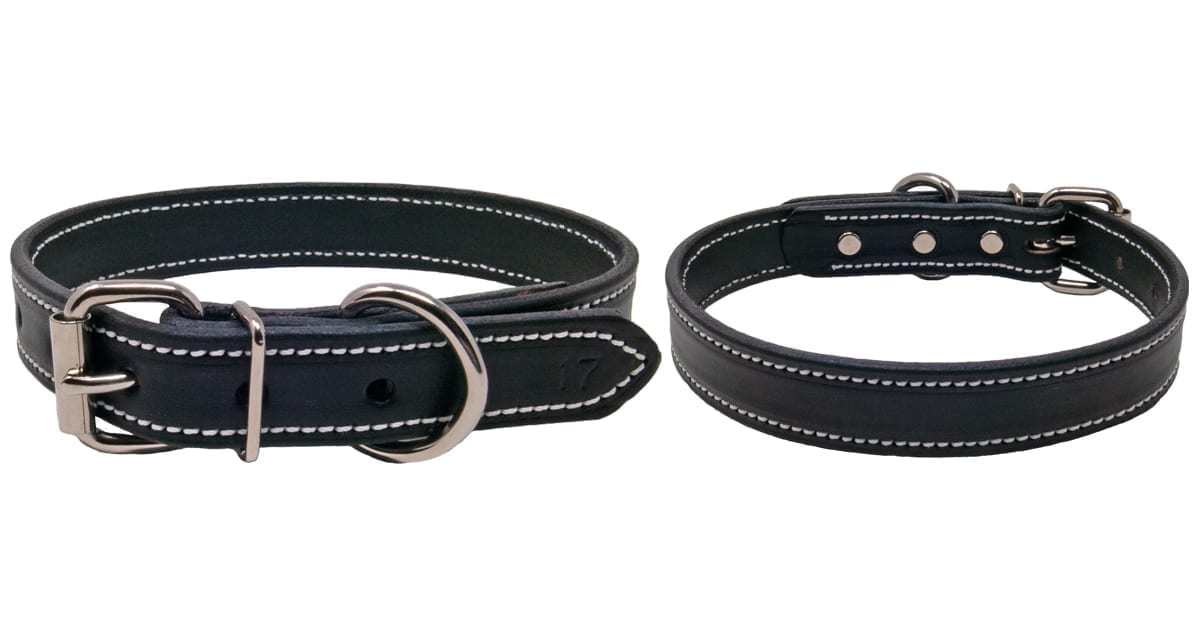 Premium Black Leather Collar | Free Nameplate | Front Range Gun Dog