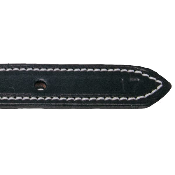 Premium Black Leather Collar | Free Nameplate | Front Range Gun Dog
