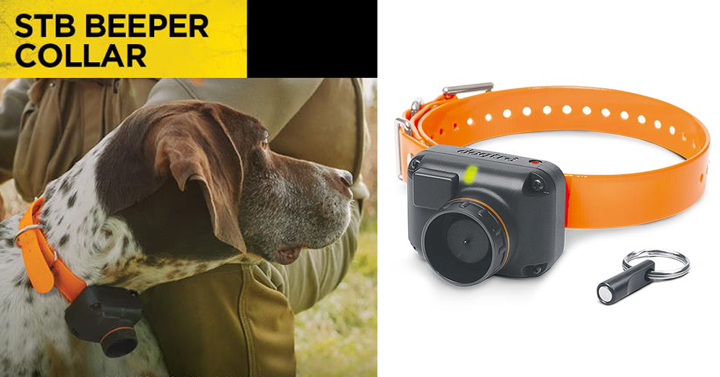 Dogtra STB Beeper Collar Front Range Gun Dog