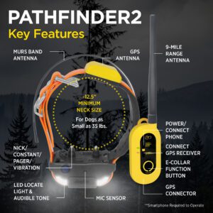 Dogtra Pathfinder 2