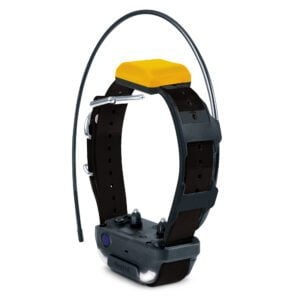 Dogtra Pathinder 2 Collar