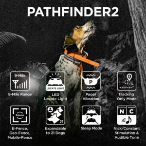 Dogtra Pathinder 2 Collar