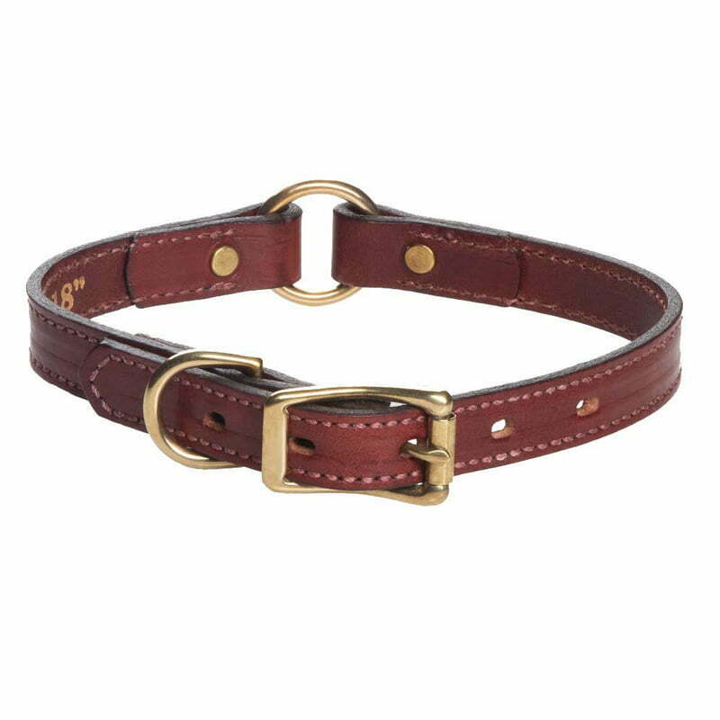 Mendota Leather Hunt Collar - Front Range Gun Dog