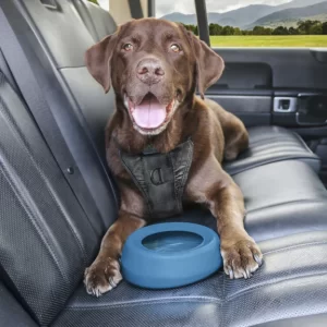 Splash Free Water Bowl