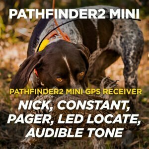 Dogtra Pathfinder 2 Mini