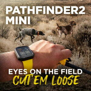 Dogtra Pathfinder 2 Mini