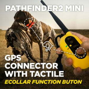 Dogtra Pathfinder 2 Mini