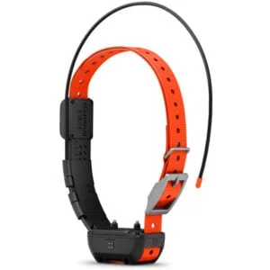 Alpha TT 25 Dog Collar