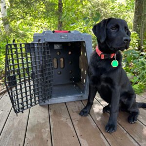 Ruff Land Kennels Divider