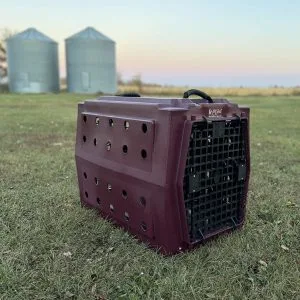 Ruff Land Kennels Intermediate Dog Kennel - Image 6